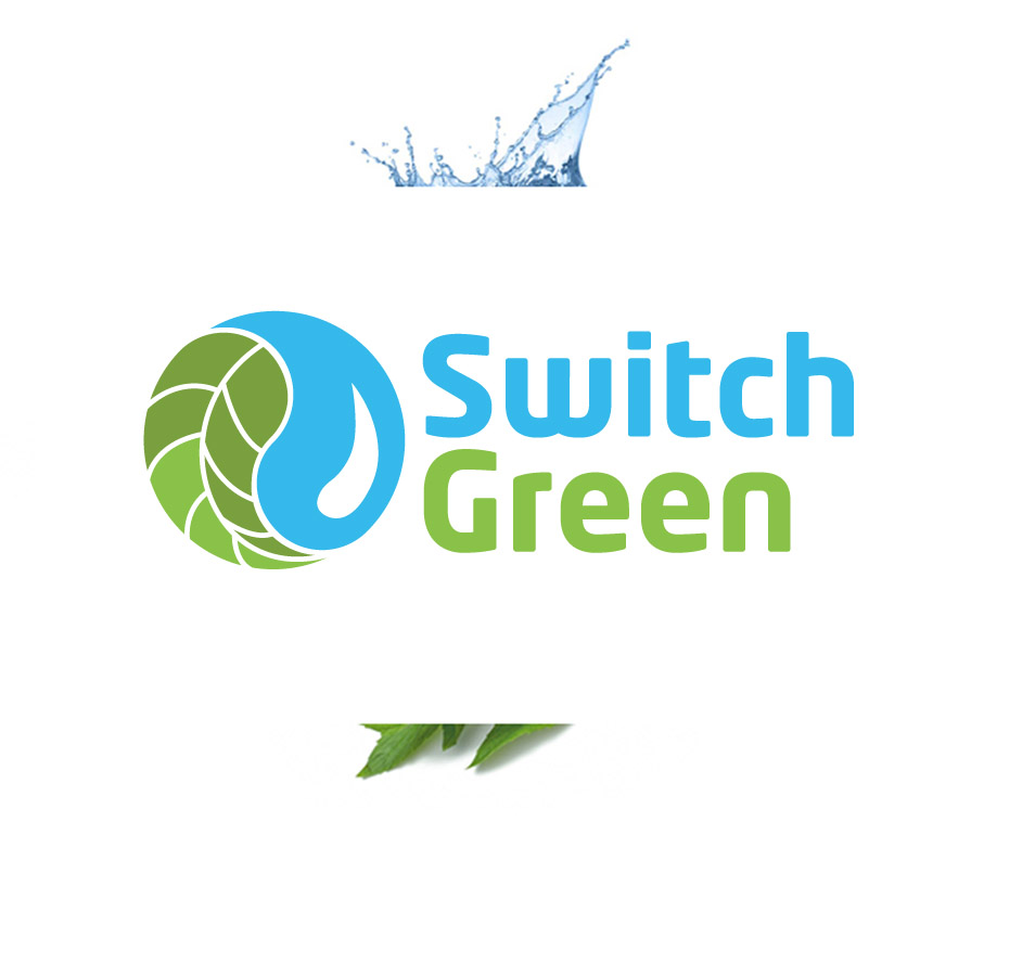 Switch Green